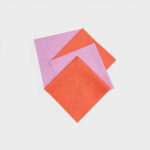 Lot de 4 lavettes surfaces fragiles microperforées fruits rouges 40 x 40 cm Le Petit René