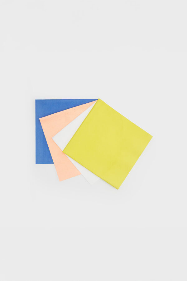 Lot de 4 lavettes essuie-verre 40x40 cm – Multicolore – Le Petit René